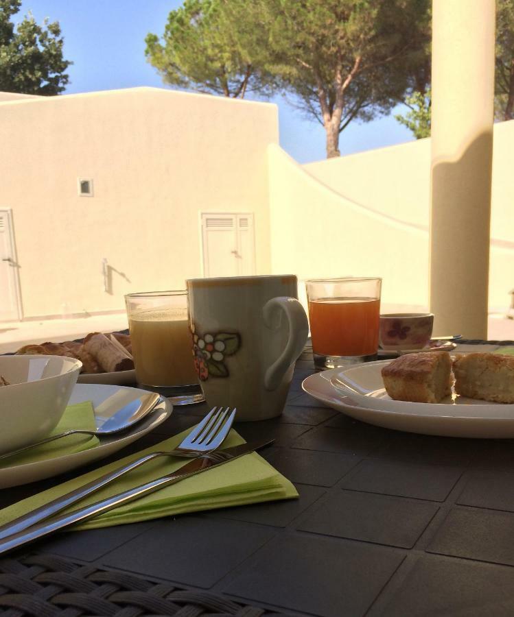 Bed & Breakfast 16 Pini