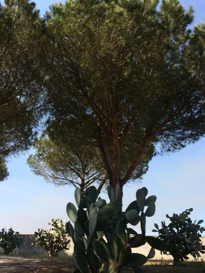16 Pini Bed & Breakfast Lecce