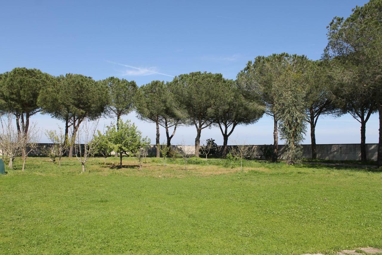 16 Pini Bed & Breakfast